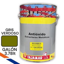 [P58] ANTIOXIDO GRIS VERDOSO GALON TAJAMAR